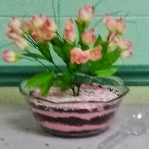 Meet your Posher, Penny